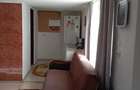 Casa de vanzare sat Sarbi comuna Ilia jud Hunedoara - 5