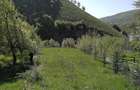 Vand teren, 1510 mp, loc de casa in comuna Lesu, jud Bistrita Nasaud