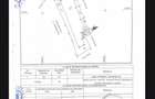 Apartament 2 camere open space si gradina - 9