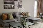 Apartament cu 2 camere decomandat zona podgoria - 8