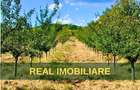 Livada - 4.000mp, zona Niscov, Carlomanesti!