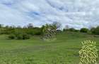 Teren 5000 mp-ideal investitie-Ghinda - 3
