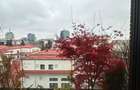 Premium penthouse for rent- Primaverii-4rooms - 12