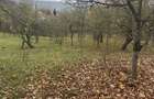 Cornu de Jos - teren intravilan 1800mp - 45 Euro/mp Neg.