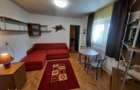Chirie Apartament 1 camera Et.2 central -Satu Mare - 5