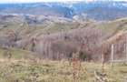 Teren Intravilan 4.608 mp in Sat Magura Priveli?te Panoramica Bucegi ?i Piatra Craiului - 2