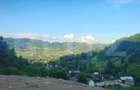 Teren de vanzare, 10.000 mp - Bistrita Bargaului, zona turistica - 5