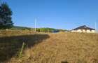 Teren de 1000 mp, în Bârnova - 6