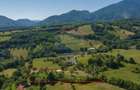 Teren intravilan de 11000 mp, în Bran - 4