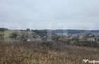 Teren intravilan 4774 mp de vanzare in Livezeni - 8