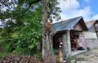 Casa de vanzare in Tintea , Baicoi - 3
