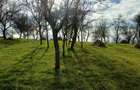 Vand teren intravilan - 1