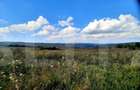 Teren intravilan de 5800 mp, în Central - 2