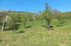 Teren spectaculos ,Porumbeni12.822 ha, livada,case ?i panorama superba - 1
