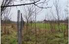 Teren in Gerausa Ardud Satu Mare - 2