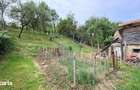 Casa Rustica in Richis, zona buna, gradina cu panorama - 6