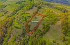 Teren agricol intravilan de 11342 mp, în Poiana Mărului - 5