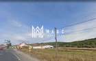 Teren agricol extravilan de 2600 mp, în Veștem - 3