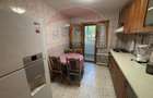 Apartament cu 4 camere semidecomandat în Teiul Doamnei - 7
