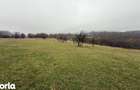 Teren spectaculos 3,5HA zona Cisnadioara - 5