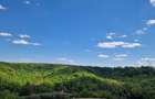 Teren de vis la marginea padurii Slatioarele,Babana, Arges (15 min de Pitesti) - 3