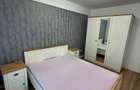 Apartament 2 camere Nicolina Pepinierii - 2