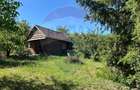 Teren Construcții intravilan de 2349 mp, în Podgoria - 5