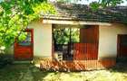 Casă individuală cu 2 camere cu Teren 920 Mp în Ginta - 7