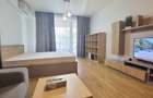Iancu Nicolae/Residence 5 /Studio elegant / - 6