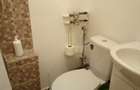 Proprietar,inchiriez garsoniera in zona Piata ALBA IULIA - 8