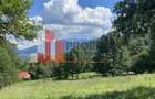 Teren Construcții de 6273 mp, în Bran - 13