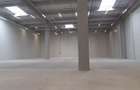 Depozite construite conform cerintelor / Warehouses build to suit - 2