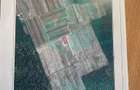 Vanzare teren constructie casa CIOFLICENI - SNAGOV - 4