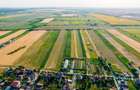 Teren de 10.000 mp situat in Bujac, Arad - 4