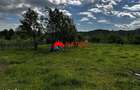 Teren construibil 5.164 mp | Brebu Megiesesc, Prahova | Dublu acces | - 7