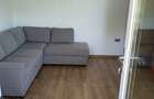 Proprietate Impunatoare D+P+1E+M Teren 1600 mp Bascov (Sat Uiasca) - 4