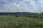 Teren Snagov Ghermanesti Ciofliceni - 4