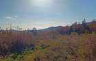 Teren la munte intre Breaza si Sinaia - 4