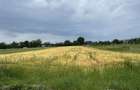 TEREN INTRAVILAN DE VANZARE ALESD BIHOR - 1