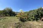 Casă individuală cu 4 camere cu Canalizare în Valea Seacă - 14
