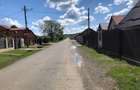 Teren extravilan de 100000 mp, în Lipănești - 2