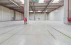 Spațiu industrial, de 3,300 mp, în Dragomirești-Vale - 3