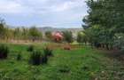 Teren intravilan in Breaza-- 2017 mp--50.000e - 7