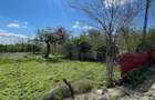 Casa si teren 2.273 mp Str. Livezi, Comuna Suraia, Vrancea - 6