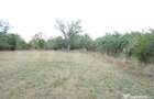 Teren intravilat 1777 mp, front 16 m, zona centru Aricestii - 6