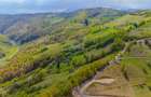 Teren agricol intravilan de 11342 mp, în Poiana Mărului - 8