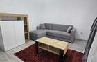 Apartament cu 2 camere decomandat în Lunca Cetățuii - 8