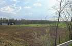 Teren de 7500 mp, în Cernele - 7