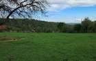 Teren intravilan de vanzare - 4