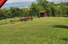 Teren de vanzare in Deva zona linistita, panorama superba spre oras si cetate - 3